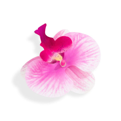 Orchid Flower Pink