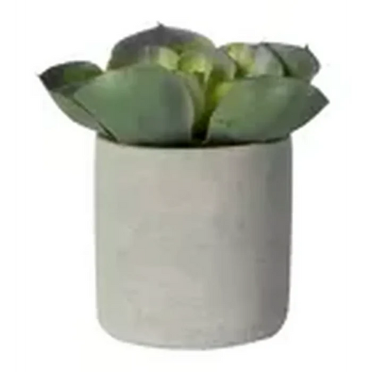 Artificial Aloe Plant in pot-Renaissance Design Studio