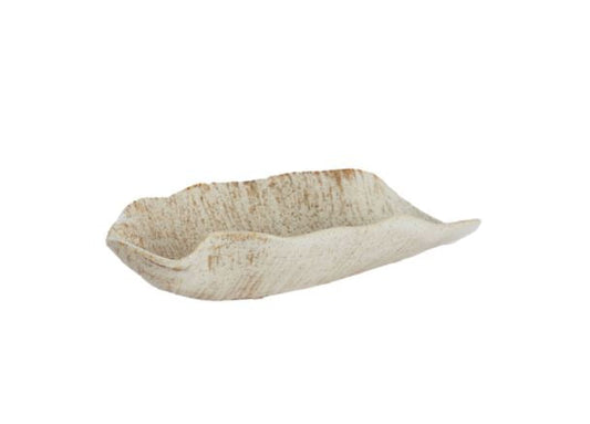 Ornament Nymia-Renaissance Design Studio
