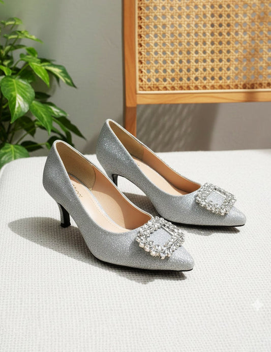 Silver Coat Shoes