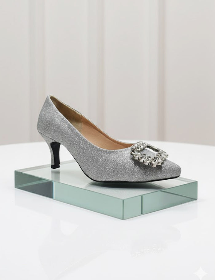 Silver Coat Shoes
