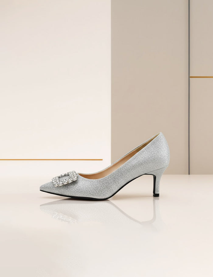 Silver Coat Shoes