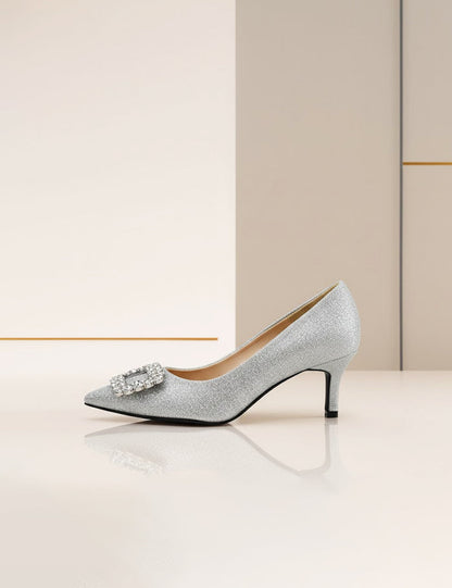 Silver Coat Shoes